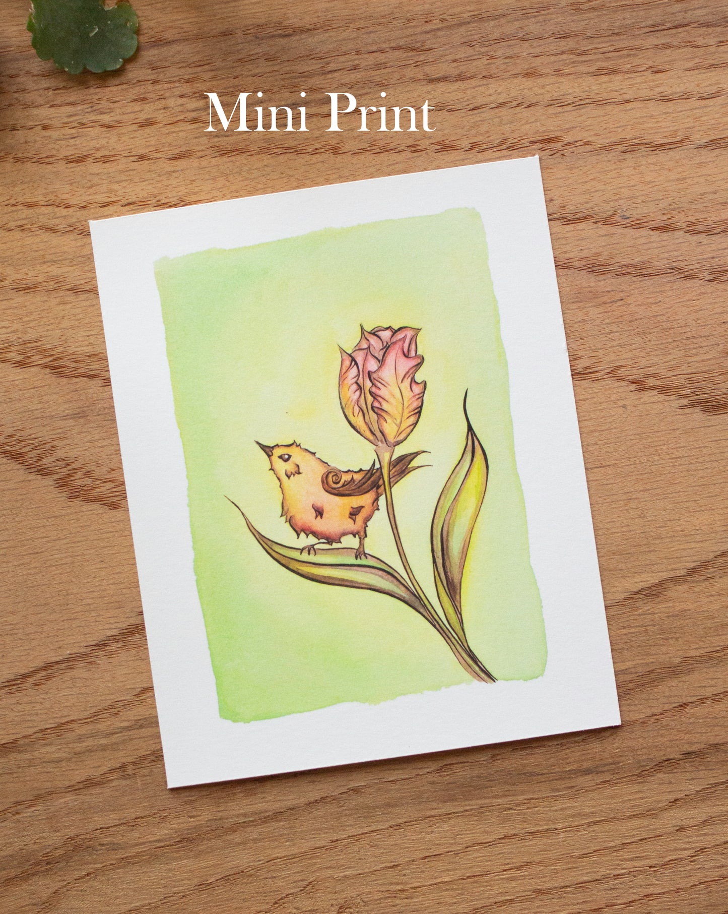 Spring Wren Signed Archival Giclee Print