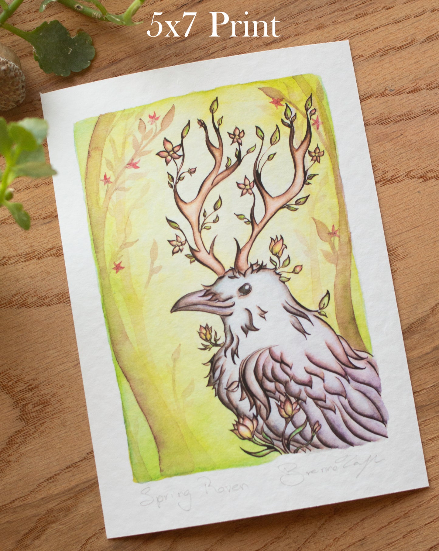 Spring Raven Signed Archival Giclee Print