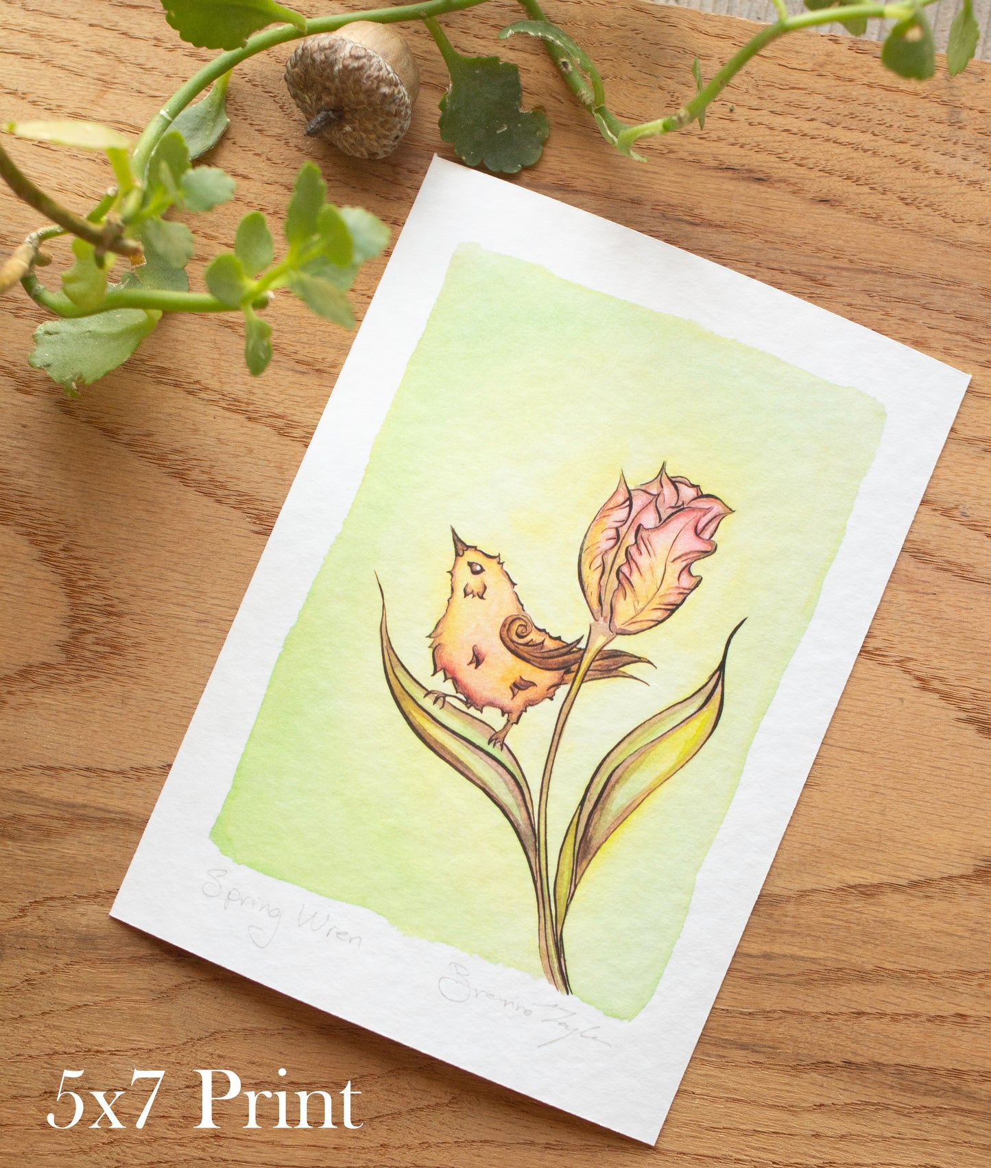 Spring Wren Signed Archival Giclee Print