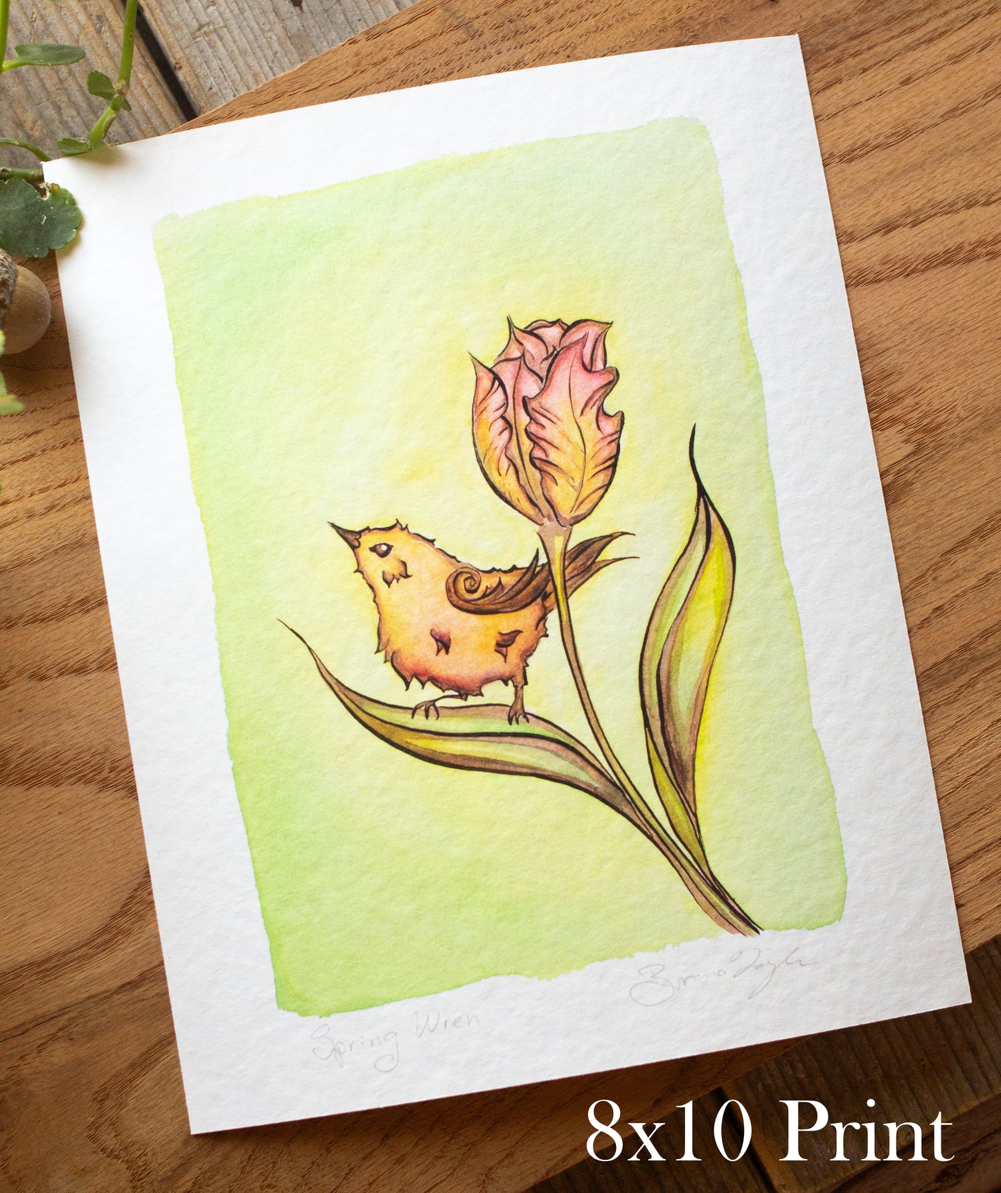 Spring Wren Signed Archival Giclee Print