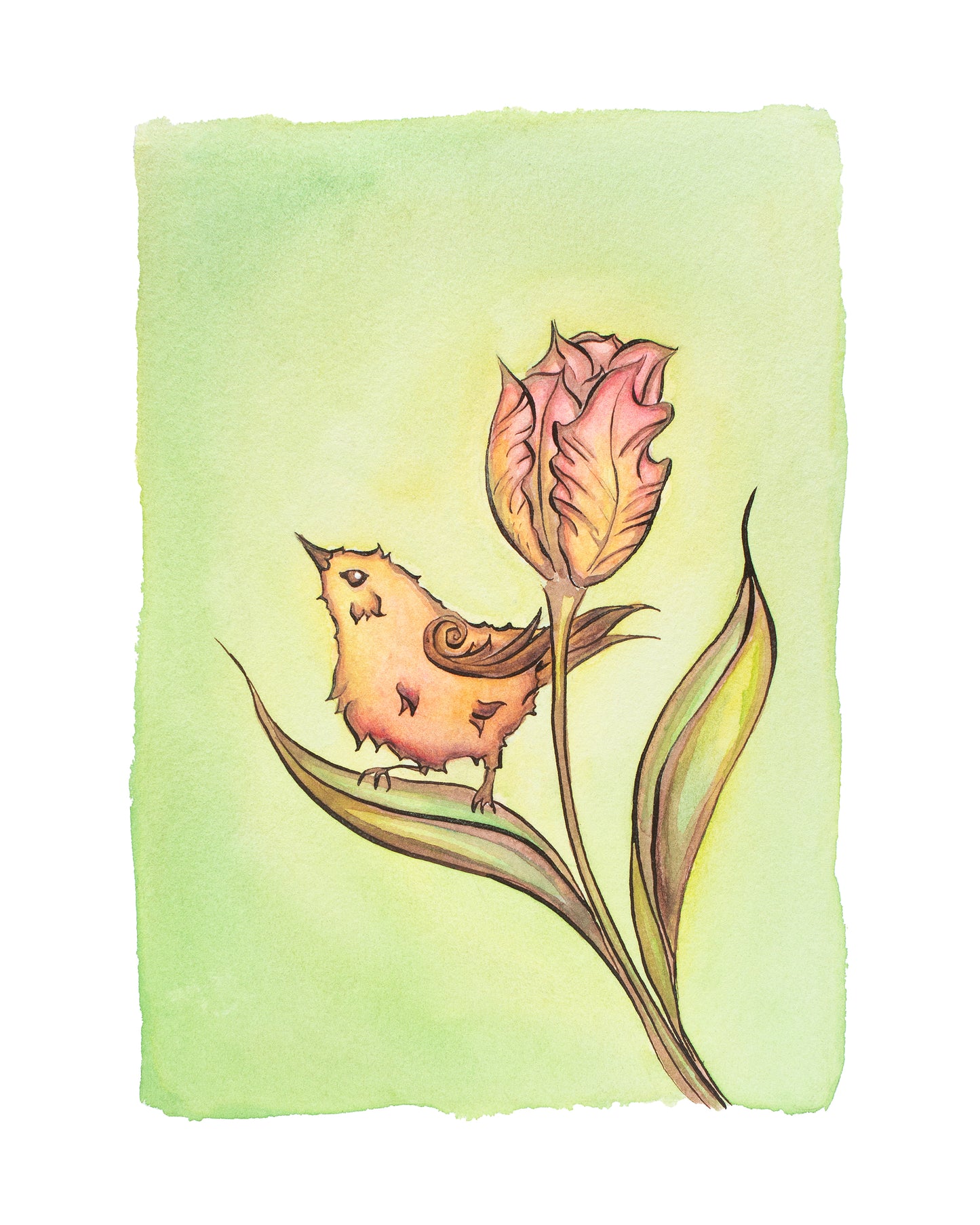 Spring Wren Signed Archival Giclee Print