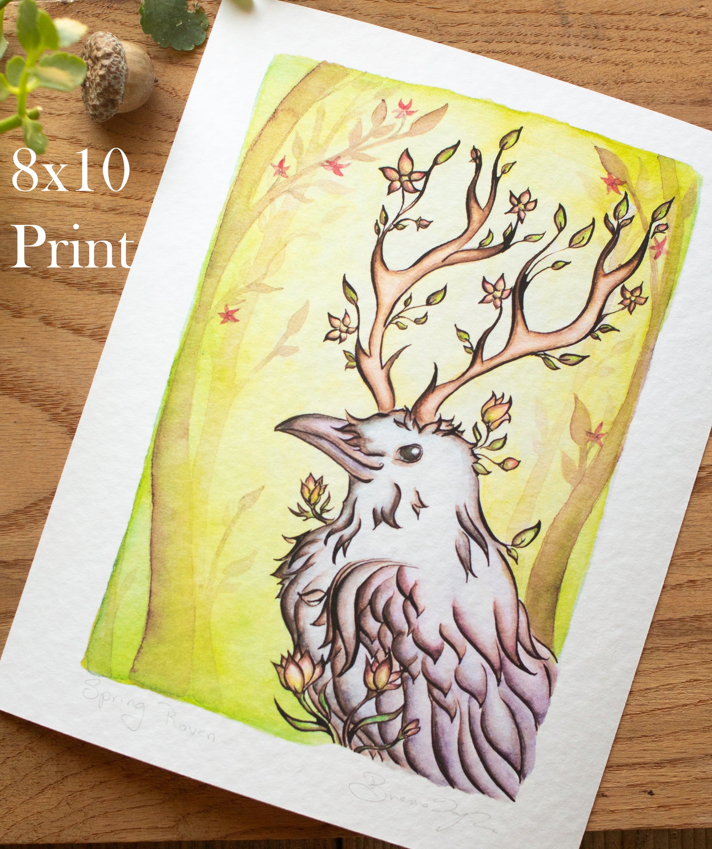 Spring Raven Signed Archival Giclee Print