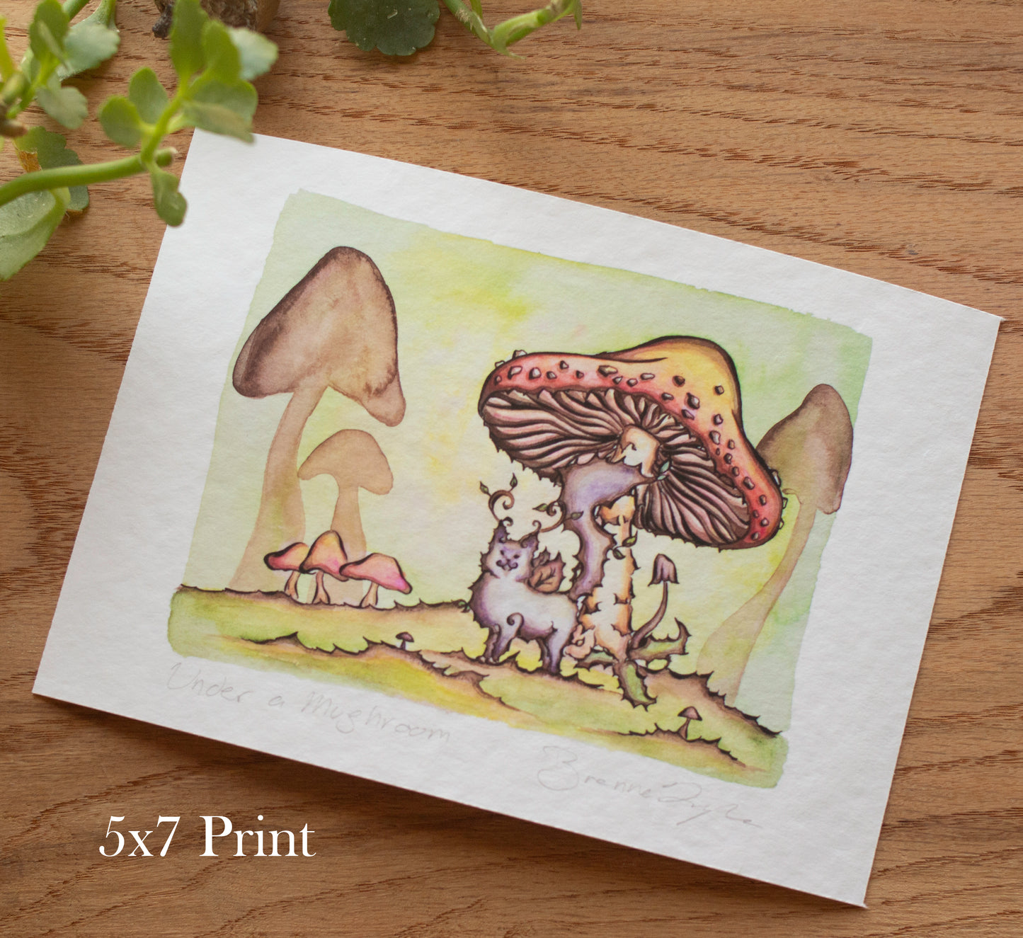 Under a Mushroom Signed Archival Giclee Print