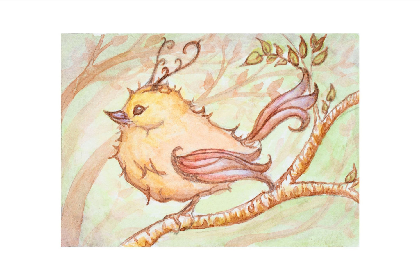 Fae Sparrow Giclee Fine Art Prints
