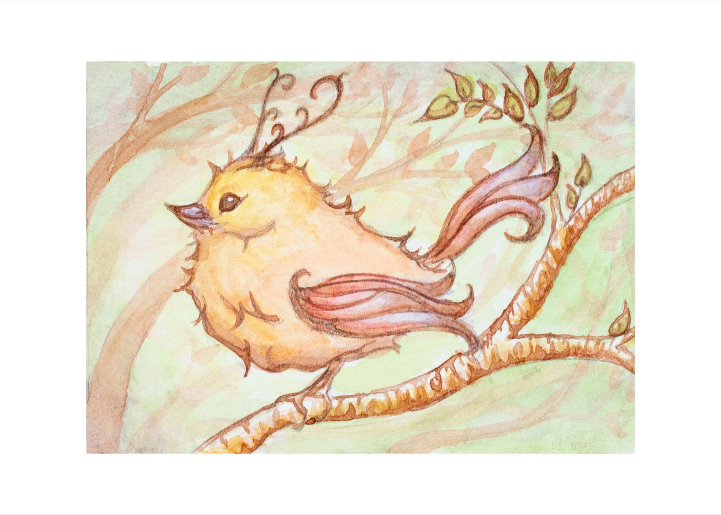 Fae Sparrow Giclee Fine Art Prints