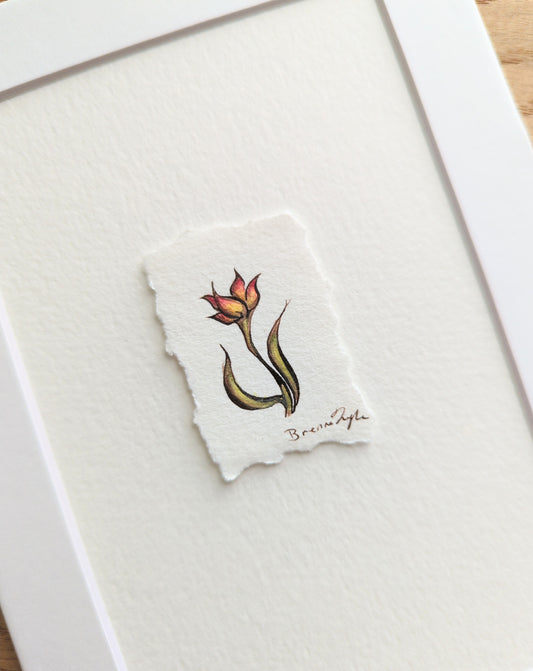 "Wild Tulip" Tiny Original Illustration